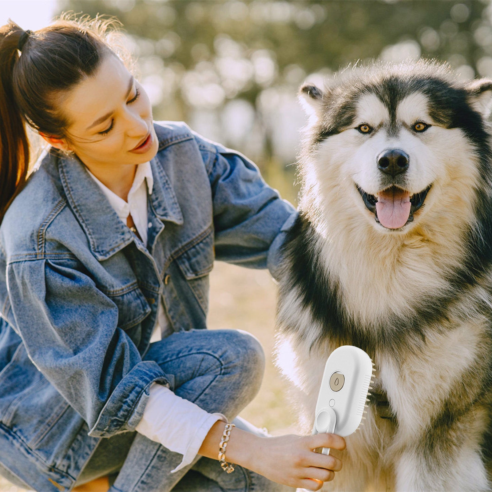 Steam Brush for Pet Coat Care