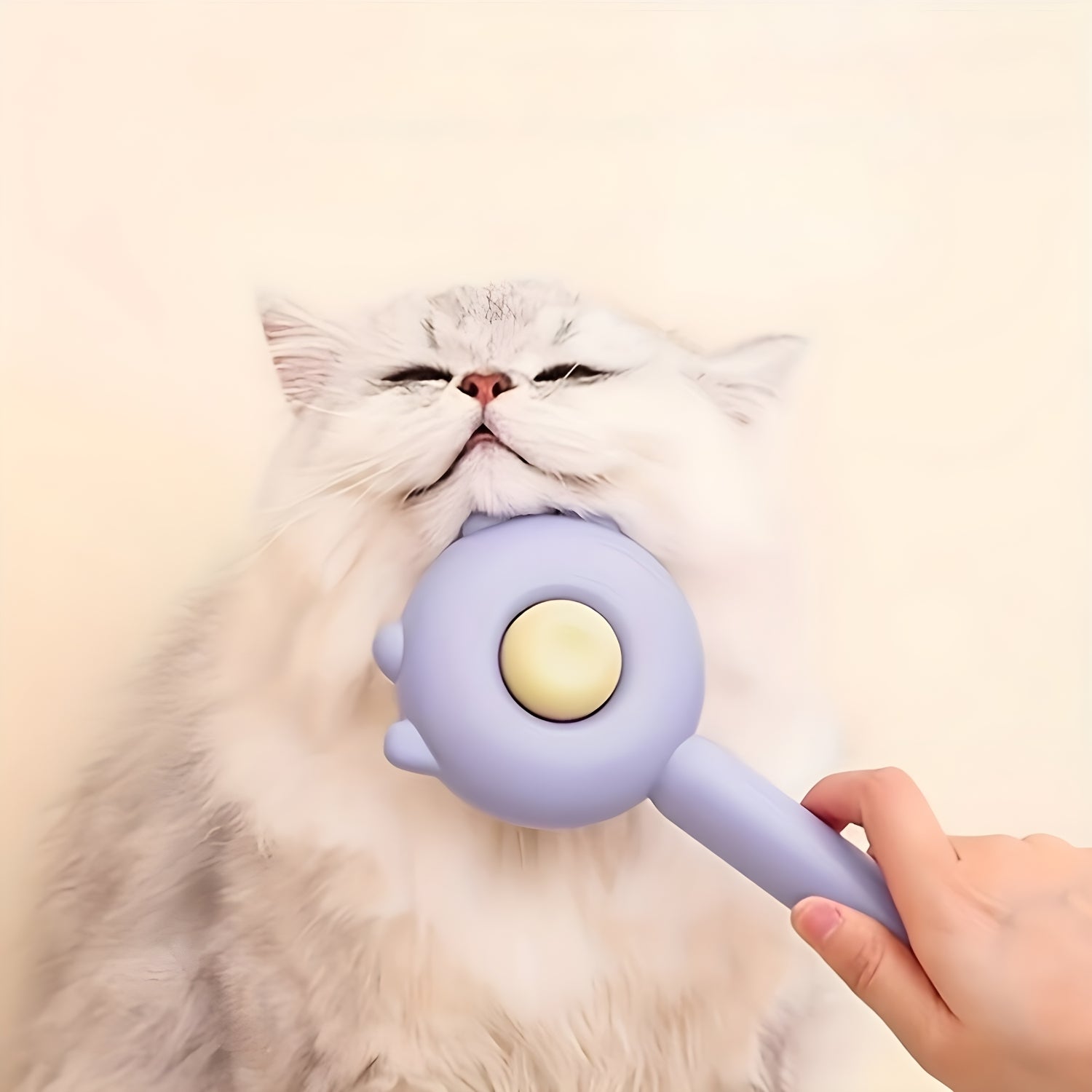 Pet Hair Removal Brush