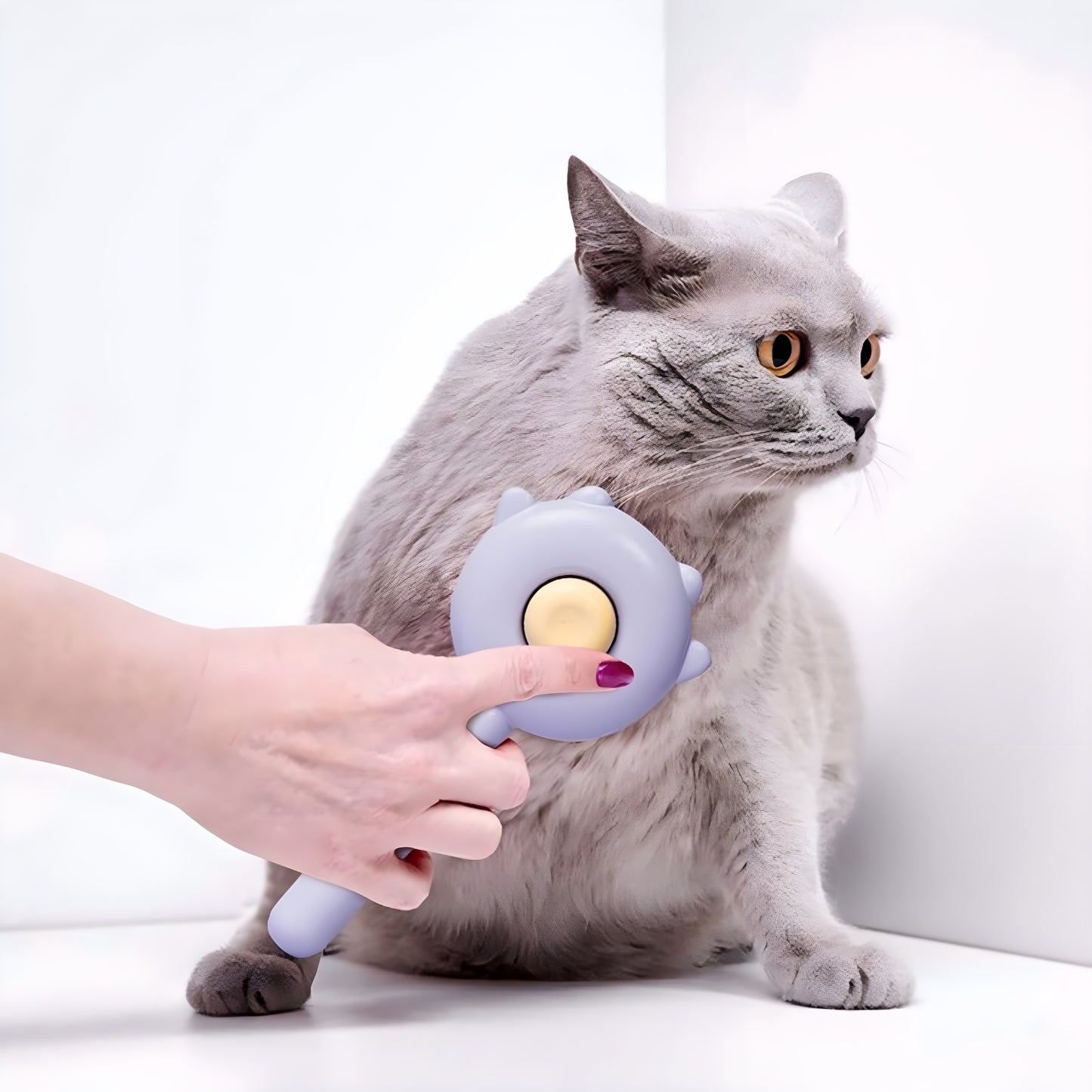 Pet Hair Removal Brush