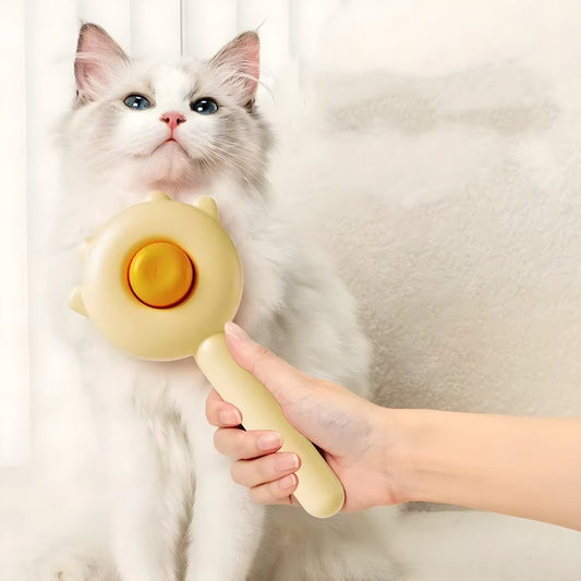 Pet Hair Removal Brush