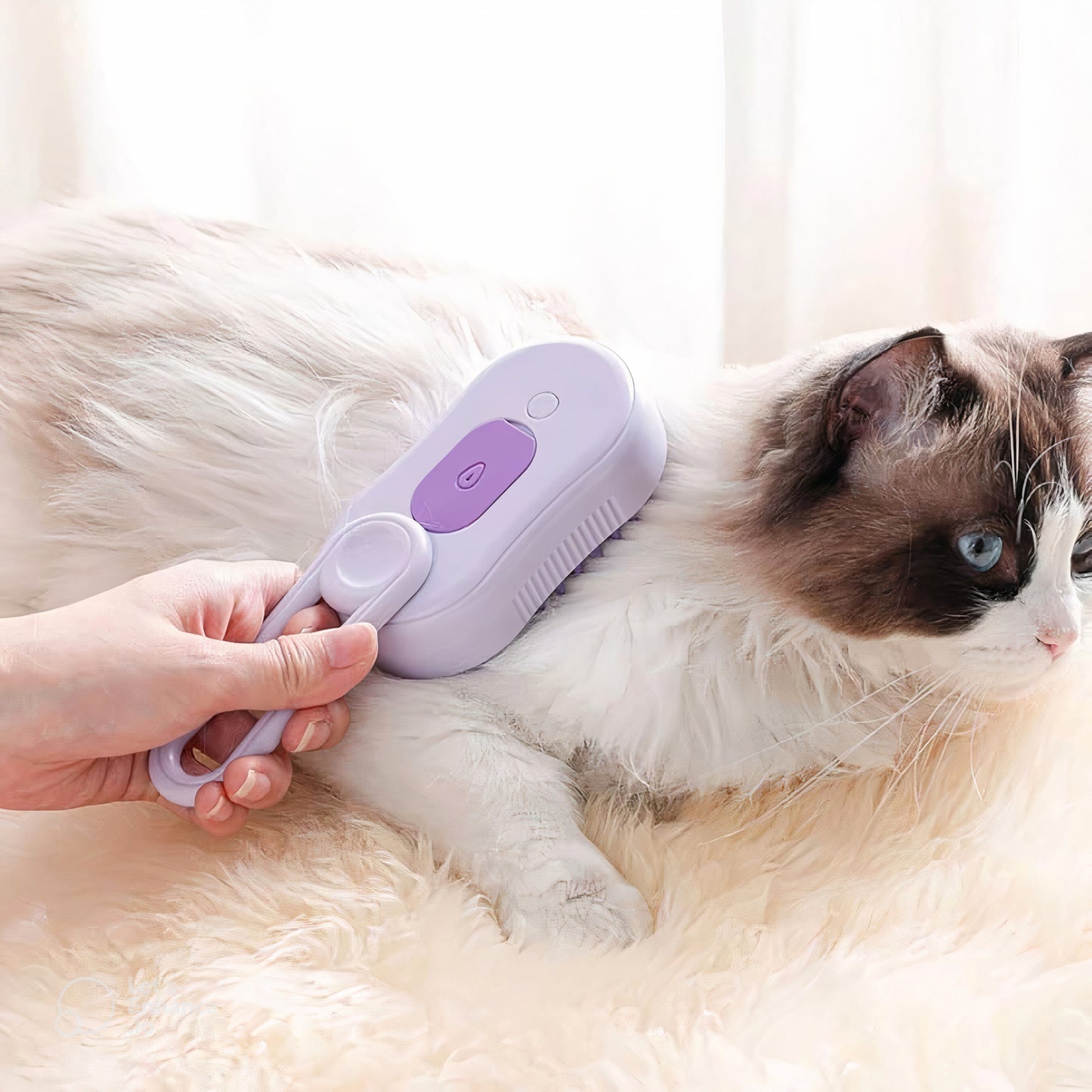 Steam Brush for Pet Coat Care