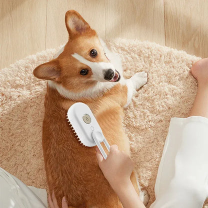 Steam Brush for Pet Coat Care